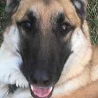 Nylistic (@nylistic) 's Twitter Profile