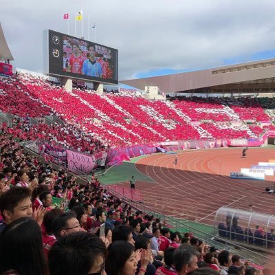 セレッソ大阪好きが集まるサークルを作ります‼︎梅田で、試合を見ながら、お酒を飲み、語れるサークル🌸