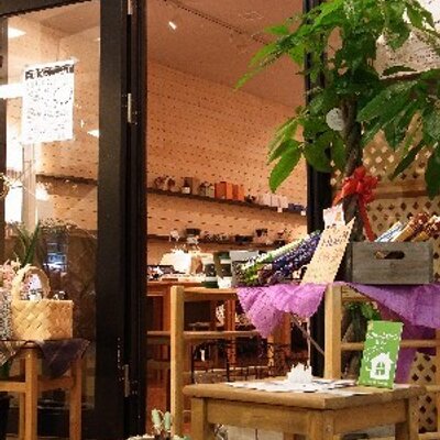 石羅 Ishira 風水 開運 お金 あなたの家は大丈夫 お金の貯まらない家 関西 大阪 京都の伝統風水師 小林蔵道 T Co Aebovkwoup 風水 玄関 寝室 財布 風水間取り インテリア 恋愛 観葉植物 スカイツリー 北枕 表札