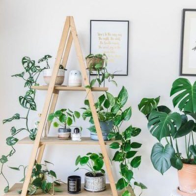 CCourse3000's profile picture. ข่าวทั่วไป นักข่าว