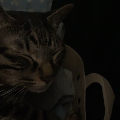 三中卒！帝京安積卒!!よろしくお願いします(´･ω･`)