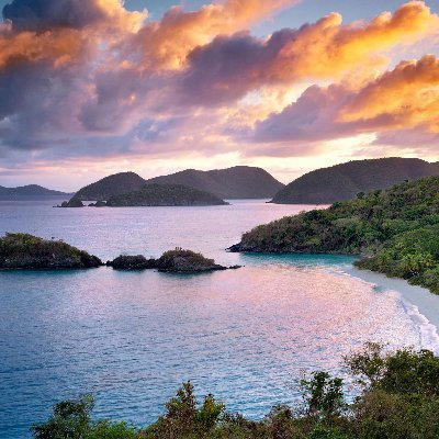 RyskampCarter's profile picture. wack