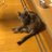 まさみんのアイコン