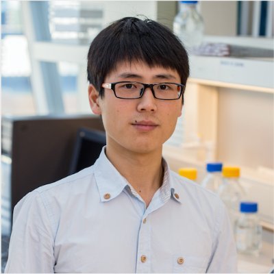 TinghaiXu Profile Picture