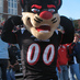 UC Bearcat (@uofcbearcat) Twitter profile photo UC Bearcat (@uofcbearcat) Twitter profile photo