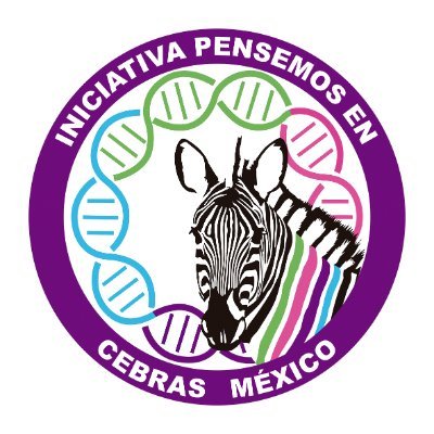 Iniciativa Pensemos en Cebras México sumando esfuerzos y aglutinando acciones enfocadas en la detección, diagnóstico, tratamiento y atención temprana e integral