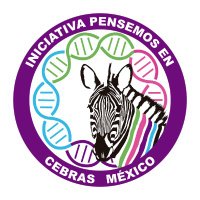 Pensemos en Cebras México (@pcebras) 's Twitter Profile Photo Pensemos en Cebras México (@pcebras) 's Twitter Profile Photo