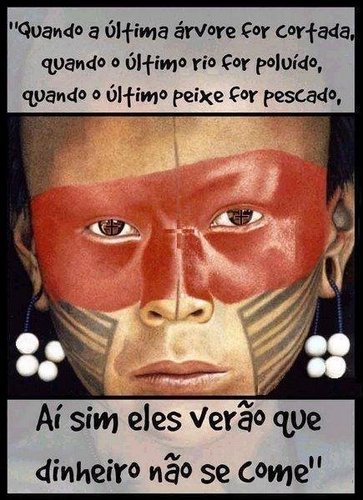 ecotoni5's profile picture. REPORTFOTOGRAFICO  SOCIOAMBIENTALISTA MILITANTE DA VIDA