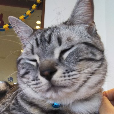 PzVCr82B2NTGKeq's profile picture. C++,C#,python,CI/CD,AWS,k8s,vueチョットワカル。
Azure,.NET Core,React勉強中。