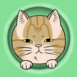 家族とペットの日常をまんがにして面白おかしく描いてます
ペットはきなこ（まるどら茶トラ猫🐱♂）とベリー（チワワ犬♀）の2匹
作品は毎日更新しています。
過去作はこちらのブログからhttps://t.co/g1zcZkYPKm
twitter別アカウントで猫グッズ等も作っています。
@kenmko