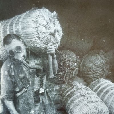 enojakkur “恚” colmillo Profile