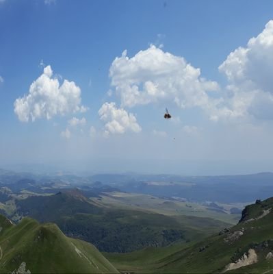 OdileBIB's profile picture. 