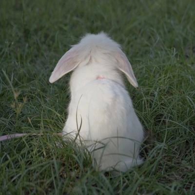 GncufGxReu21IfT's profile picture. 