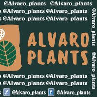 alvaro_plants_seller(@alvaro_plants) 's Twitter Profile Photo