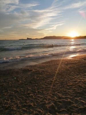 HebertViviani1's profile picture. 