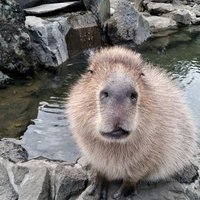 しまなみ🎀3y (@intheworstcase) 's Twitter Profile