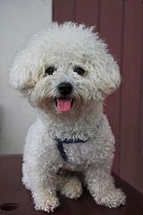 Overlook_Ignore's profile picture. 