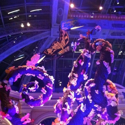 LakerLou2's profile picture. LOVE LIFE and LIVE to the FULLEST!