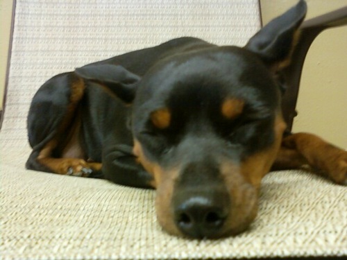 keunhicks's profile picture. no matter where you go, there you are.