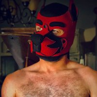Pup Lucifer (@thepup_lucifer) 's Twitter Profile