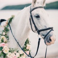 الرَّوض | فضفضة 🔱 (@rawdah_96) 's Twitter Profile