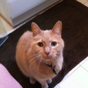 Jack Putnam - @trianglezero - Twitter