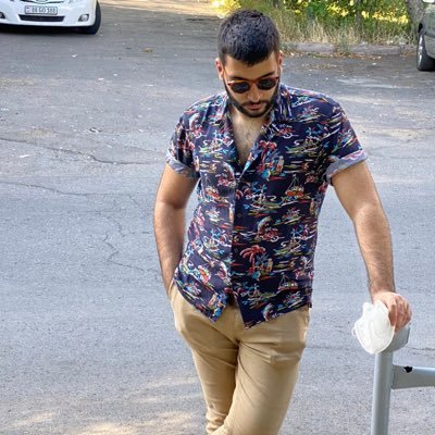 __MelsHakobyan's profile picture. A Nobel Prize nominee and Oscar-winning penguin vet.