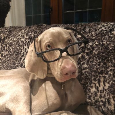 Els_Pan's profile picture. 