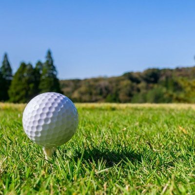 golf_mylife Profile Picture