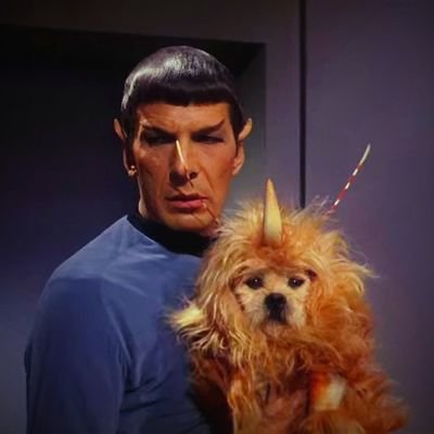 elcarmut's profile picture. 
