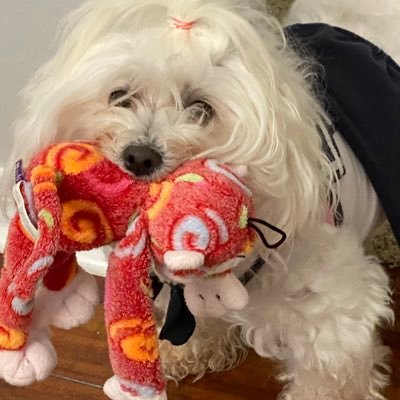 KarronandMolly's profile picture. 