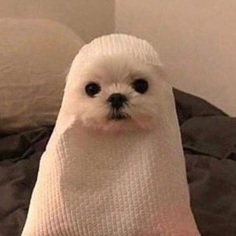 daddysboii1's profile picture. tell me you’re that girl | he/him 🏳️‍🌈