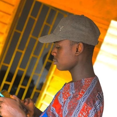 Governance || Politics || Member Order of Nigerian Students (MoNS) || Poet ||
Critical Thinker | Designer @lifetechocms
mail: professoralbertayo@gmail.com