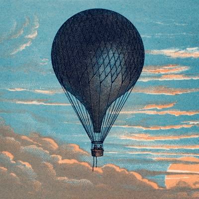 weeklyreport__'s profile picture. 