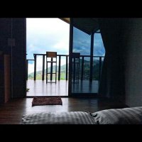 nut (@nut23227466) 's Twitter Profile