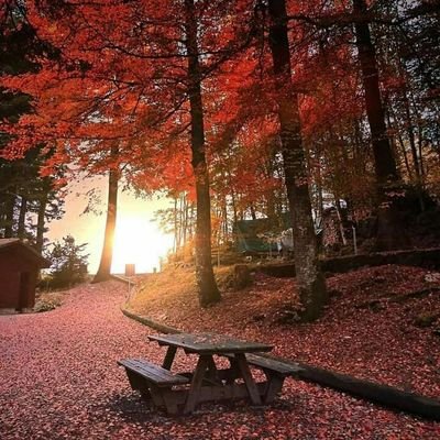 mahladyomaa's profile picture. brown skin girlie😋