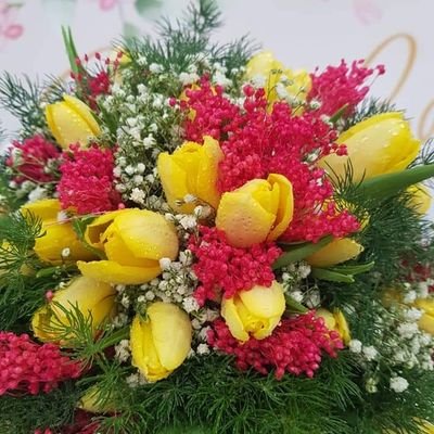 artedecurar's profile picture. 