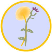Thistles & Dandelions EWFC (@dandelionsgla) 's Twitter Profile Photo Thistles & Dandelions EWFC (@dandelionsgla) 's Twitter Profile Photo