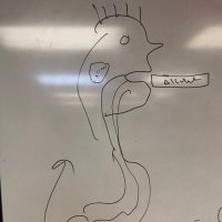 Al (@astabl) 's Twitter Profile