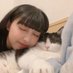 きねずみ (@kinezumii) Twitter profile photo きねずみ (@kinezumii) Twitter profile photo