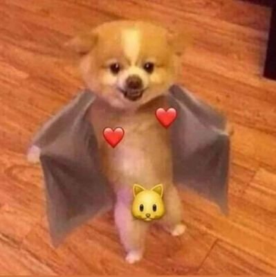 bullholyshit_'s profile picture. Dosyć gówna i rzeczy w kolorze gówna