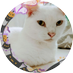 @WDGre5p5D6gkouH