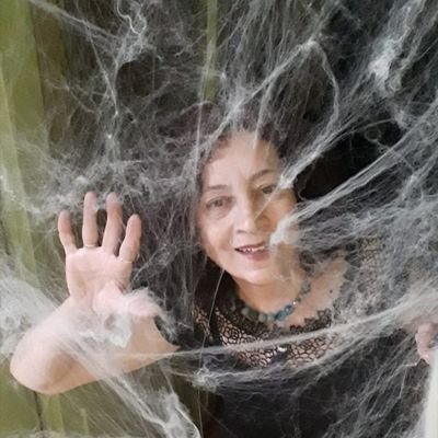 demlik53's profile picture. hizmet