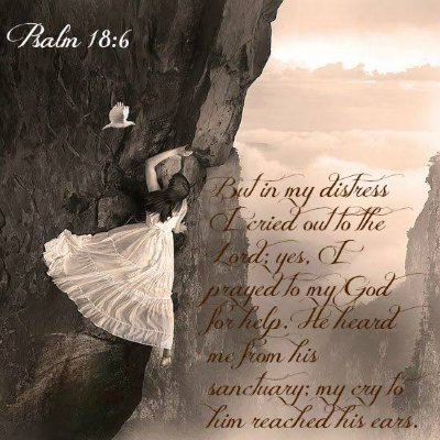 mountai42085376's profile picture. 