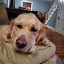 Jack Tedder - @Jack_Tedder - Twitter