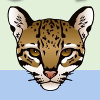 Aldridge Ocelots(@AldridgeOcelots) 's Twitter Profile Photo