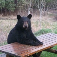 Damien Costa (@damiencosta5) 's Twitter Profile