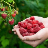 ؟؟؟؟ (@sataraad) 's Twitter Profile