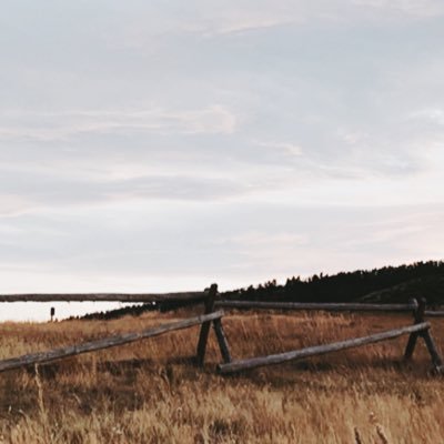 shree__harini's profile picture. SDE 👩🏻‍💻 Photographer 📸