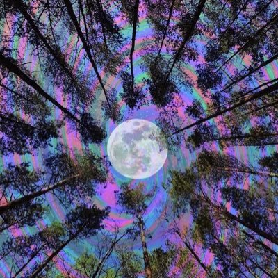 PenguinsOnLSD's profile picture. Apex and whatever bullshit spews out of my mind